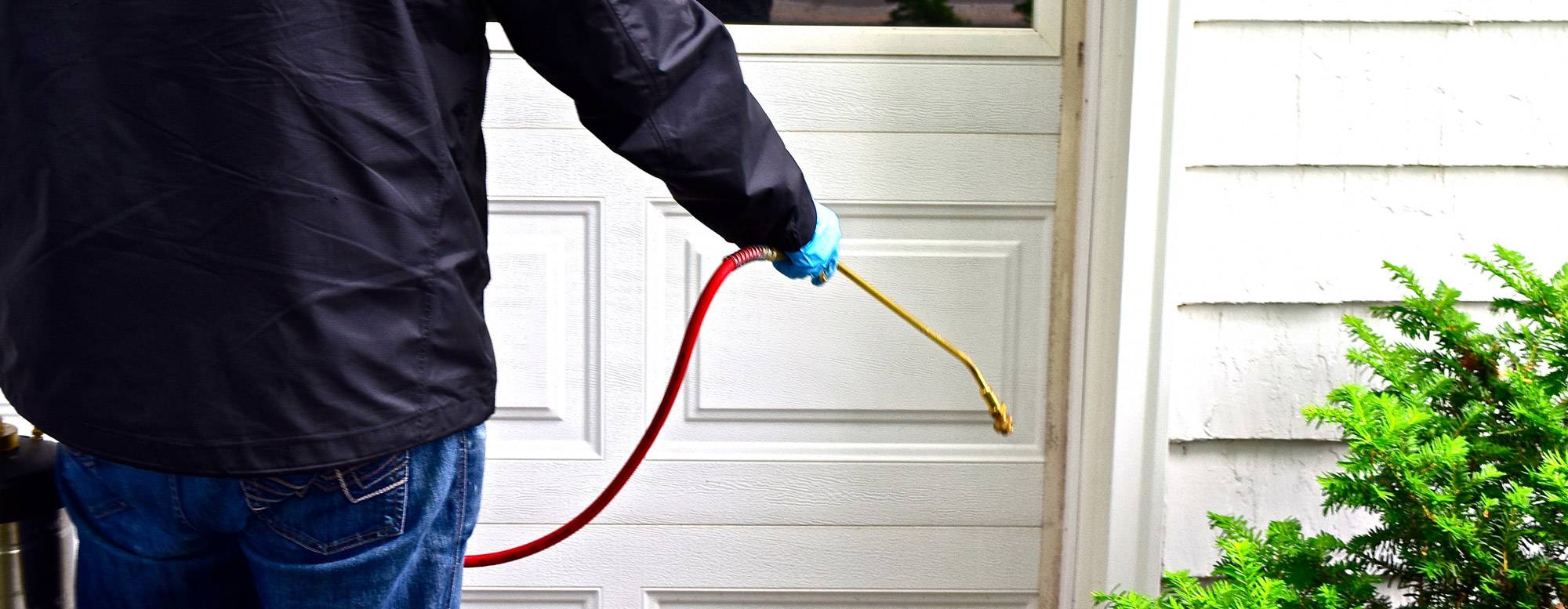 Possum Removal 1 Sydney Pest Control Service