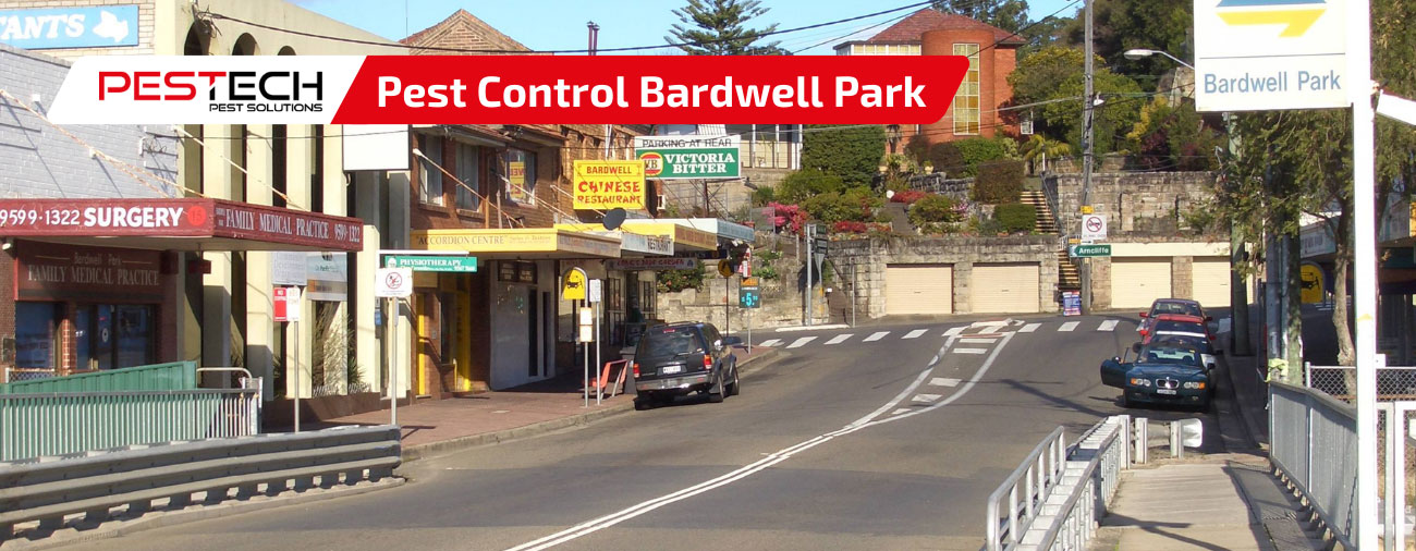 Pest Control Bardwell Park