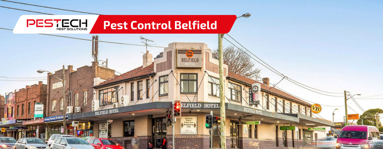 Pest Control Belfield