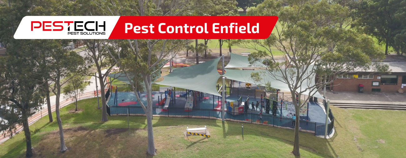 Pest control Sydney
