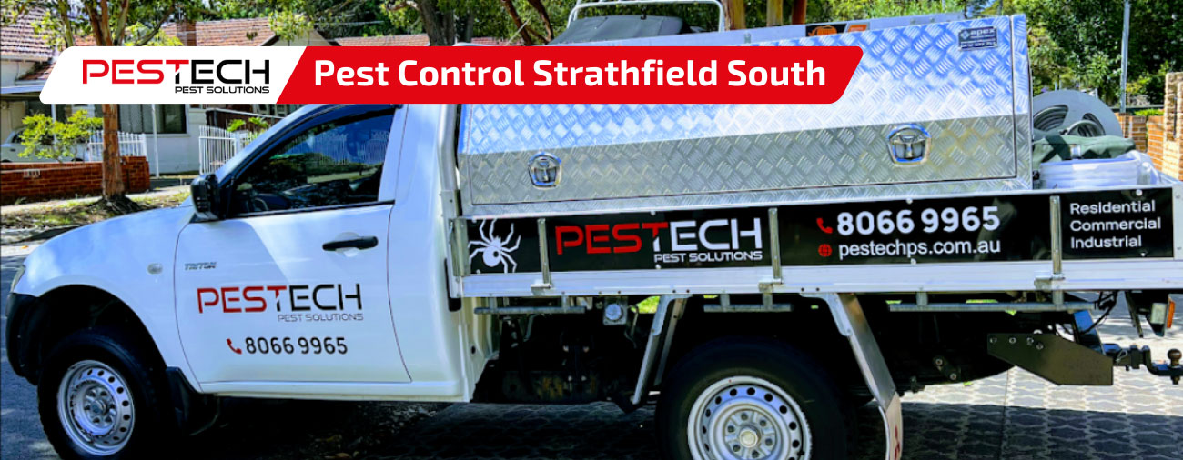 Pest Control Strathfield South